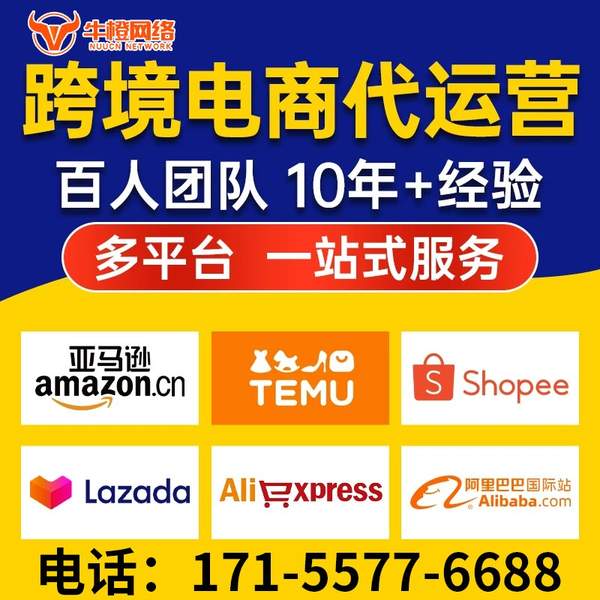 张掖电商代运营