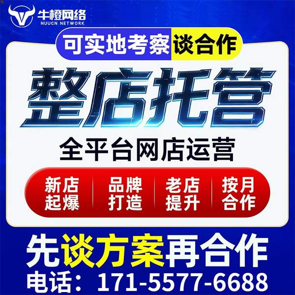 张掖电商代运营