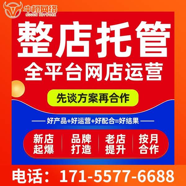 张掖电商代运营