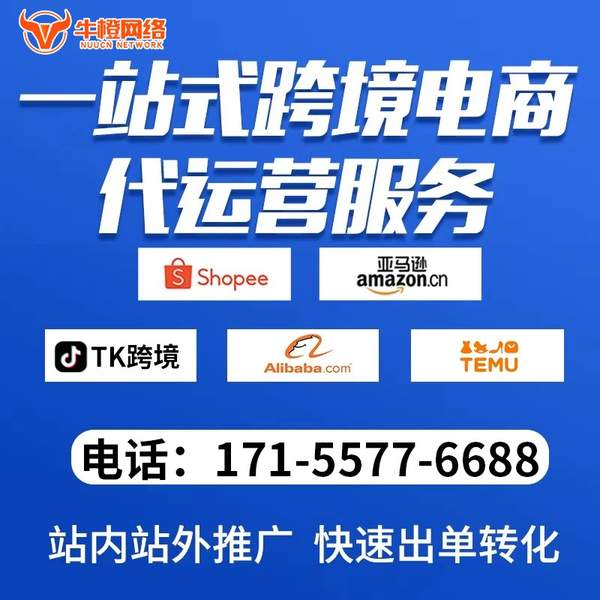 张掖电商代运营