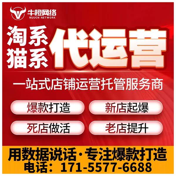 张掖电商代运营